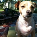 Barry Stroud - @Limbbacon - Twitter