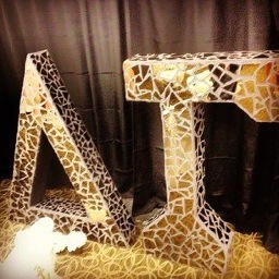 Hot Damn Delta Gam We Are The Delta Gees of Zeta Omicron Chapter of Delta Gamma, at Wilfrid Laurier University!