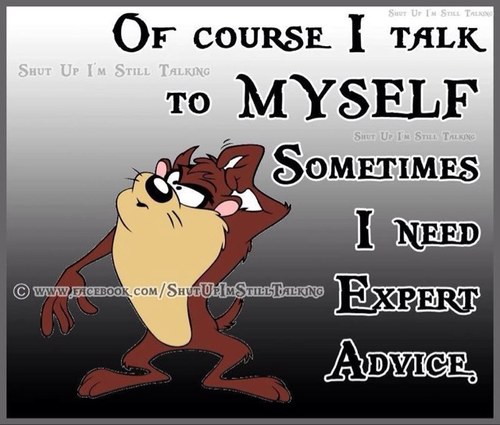 Bigtazman46's profile picture. 