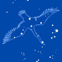 oostwijzercygnus (@oostwijzercygnu) 's Twitter Profile