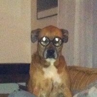 Dave (@sockdog3) 's Twitter Profile