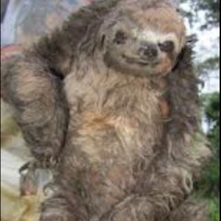 If you follow me follow @tannerhoratschk