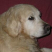 Eric Michel (@emichel77) 's Twitter Profile Photo