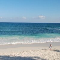 Florence Fischer (@flohfi) 's Twitter Profile