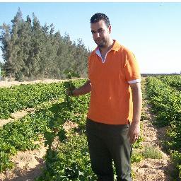 شتلات مانجو_موالح_عنب مطعوم_حلويات