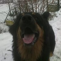 Matteo Danova (@matteodanova) 's Twitter Profile