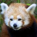 William Rous - @William_Rous - Twitter