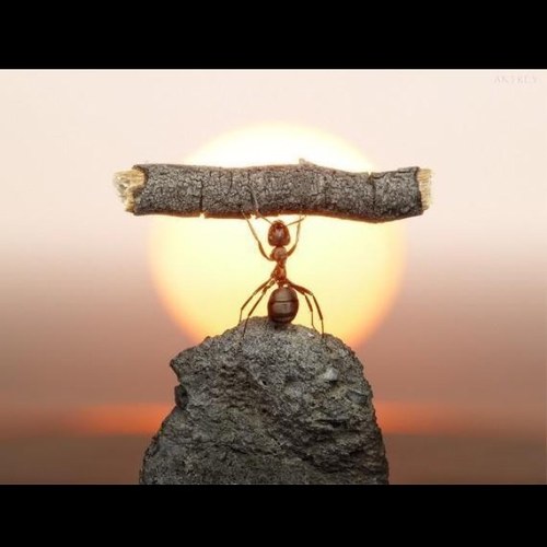 small but powerful