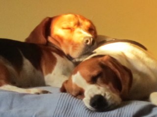 isagath's profile picture. 