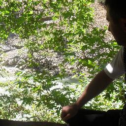 kadimelf1's profile picture. Sadece Memur