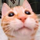 Tom Carr - @Vernon_Franklin - Twitter