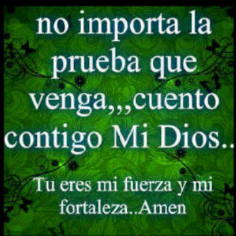 JTaltuna123's profile picture. 