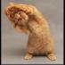 yogacat (@_yogacat) Twitter profile photo yogacat (@_yogacat) Twitter profile photo