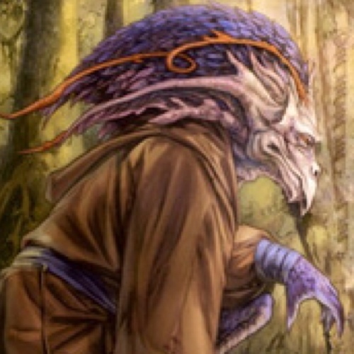 VergereTheFosh's profile picture. Is it what the teacher teaches, or what the student learns?

I am Vergere, what are you?