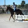 Horse owner. Contrarian. Wahoo. North Carolinian. Attorney in the QC. All opinions are my own, not my employer's.