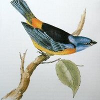 Greg Barsh (@gregbarsh) Twitter profile photo