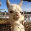 Barb Walters - @barbwalters - Twitter