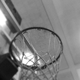 AthleteSuccess1's profile picture. Find what it takes to earn a D1 scholarship and play pro. Created/Maintained by a Division 1 basketball player now playing professionally. STARVING FOR SUCCESS