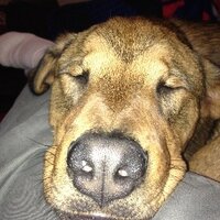 JG (@wayyytooloud) 's Twitter Profile