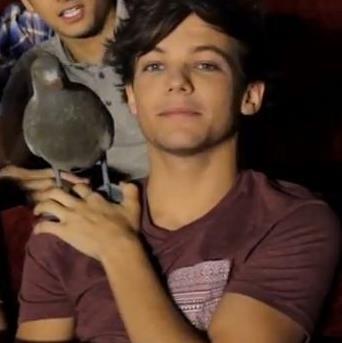 @Louis_Tomlinson love my, ♥I am the # 1 fan @onedirection