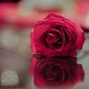 متفآله (@00233_soso) Twitter