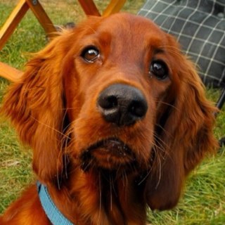 PhilGmai's profile picture. Ii