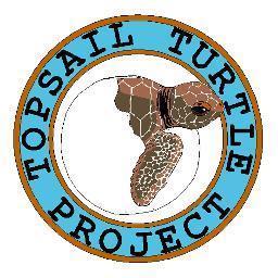 The Karen Beasley Sea Turtle Rescue and Rehabilitation Center's Twitter Feed