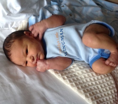 HarryMehes's profile picture. 