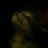 LEITOLES's profile image