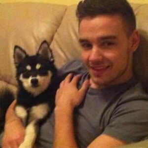 False_Payne's profile picture. Liam James Payne. Hates spoons. Love Cupcakes. Single&Bi.. Kik me - SwaggingBreezyJ .