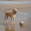 Warren Hubbard - @Wozwoz64 - Twitter