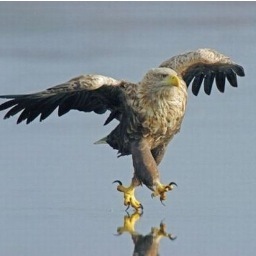 Showing you the most #unbelievable #pics you have ever seen. #Life is #Good