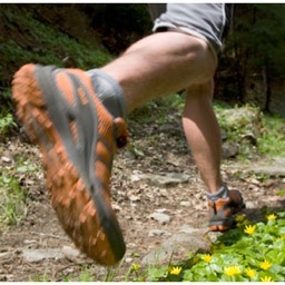 Chicago-based trail running; community-sourced info about meet-ups, routes, and races for trailheads.