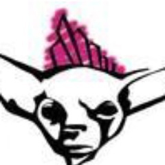 RevekEnt's profile picture. Revek Entertainment is a full service Production Company that creates TV, Film & New Media content.