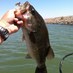 TripleB (@bassboobsnboats) Twitter profile photo TripleB (@bassboobsnboats) Twitter profile photo