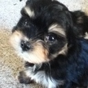 destiny blakely - @DestinyBlakely - Twitter