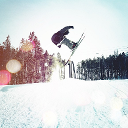 Andy Partridge Profile