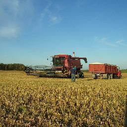 AdrienBea's profile picture. 