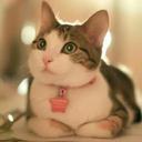 pearl wu - @primrose_wu - Twitter