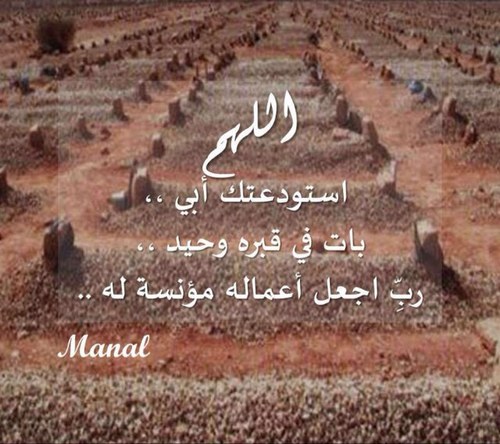 خيبات الأمل لا تعني اننا لا تستحق السعادة .. بل تعني ان السعادة ليست من هذا الاتجاه.......  وان الحياة رحلة و طريق 🌷🌷