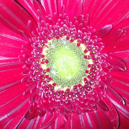 uktxsd's profile picture. 