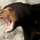 David - @Dave_Claxton - Twitter