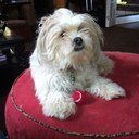 Ed Gotcher - @edgotcher - Twitter