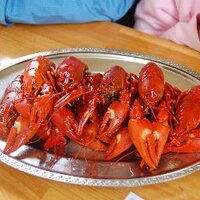 超ぐったり＠人間になろう (@phakutaku1) 's Twitter Profile Photo