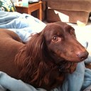 Lydia Gabriel - @LydGab - Twitter