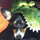 Chad Seay - @ChadSeay - Twitter