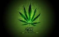 everyday_smoke's profile picture. smoke weed everyday  i tweet weed related shit. follow me if your a true stoner!!!