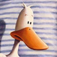 novukano (@novukano) 's Twitter Profile