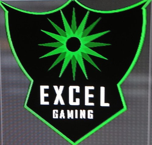 RealExcelGaming's profile picture. 