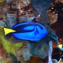 Ami Irwin - @amihicks - Twitter